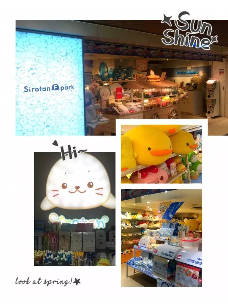 美女穷游10年走120个国家,穷游日本详细攻略