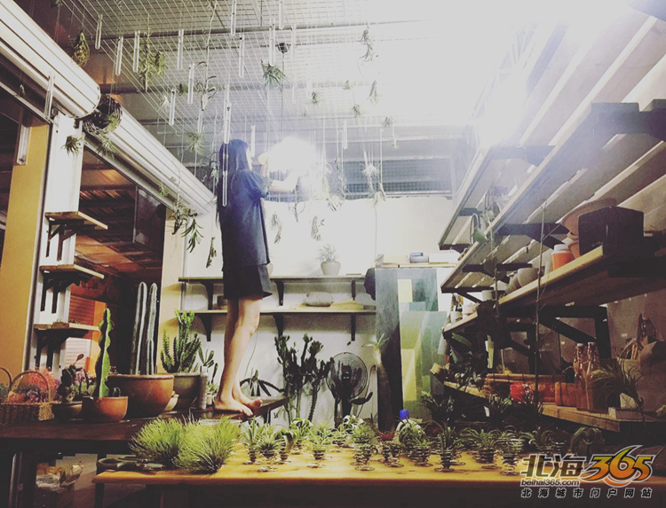 北海女性｜稀奇古怪的店，稀奇古怪的90后老板