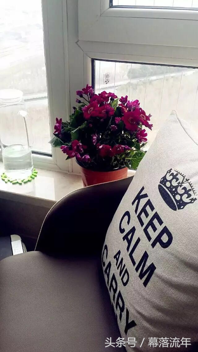 这家的小女人太机智—用心打造的每个居家细节