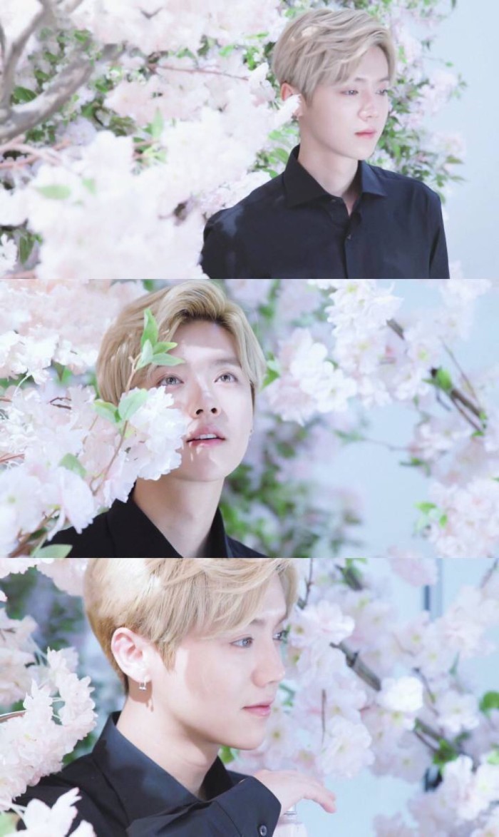 颜控怎么爱上一个普通的女人,颜控喜欢什么