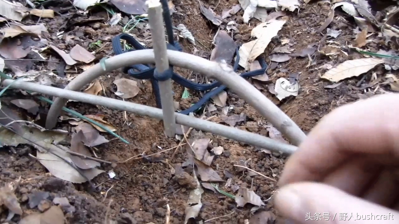 荒野求生非常好用的野鸡野兔吊脚套陷阱