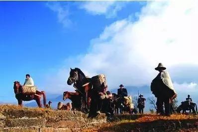 云南茶叶发展,云南茶叶企业发展现状