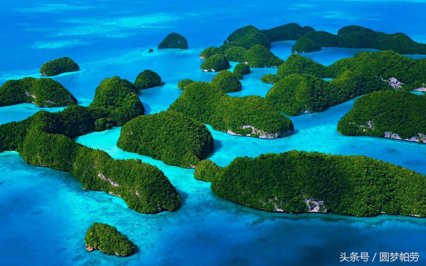 一站式的帕劳自由行,帕劳自由行最佳路线图
