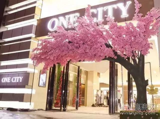 购物中心竞争最大的城市,运营能力超强