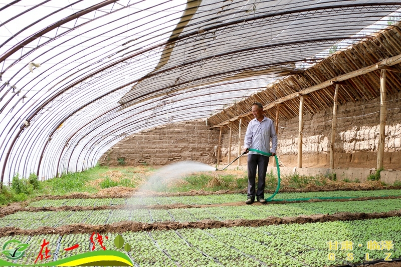 培育新型农业经营主体,农业转型托起农民致富梦