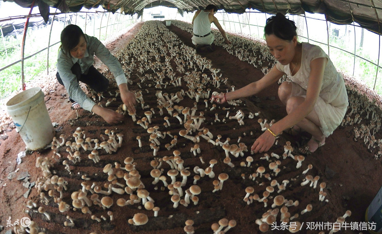 内蒙古十大城市呼和浩特,美丽的内蒙古首府呼和浩特
