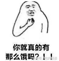 日本可爱小壁虎,日本宠物壁虎