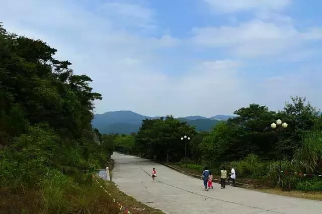 花如此多娇,花都如此多娇全文免费阅读