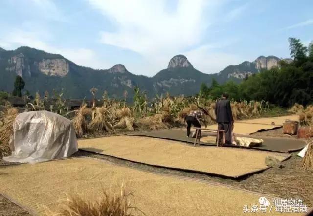 台州的公盂村,浙江省仙居县田市镇公盂村