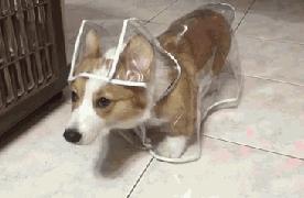 华盛顿西雅图大学世界排名,美国华盛顿西雅图大学排名