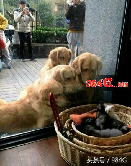 dnf游戏画质达到瓶颈,dnf各时期画质