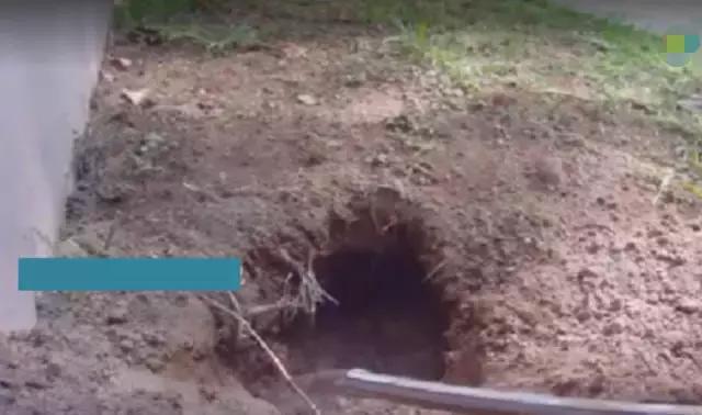 男子自家院子发现一个洞,男子在后院里发现一个奇怪的洞穴