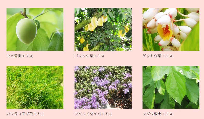 雪美清杨桃面膜,日本雪美清杨桃水测评