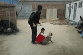 搞笑:商店老板养了只鹦鹉,吊在门口,顾客进门就说“欢迎光临