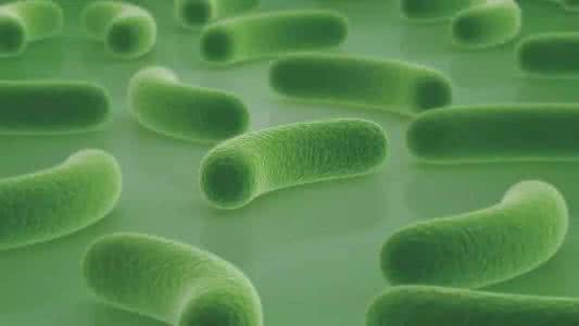 益生菌在水产的作用与功效,水产益生菌的十大排行榜