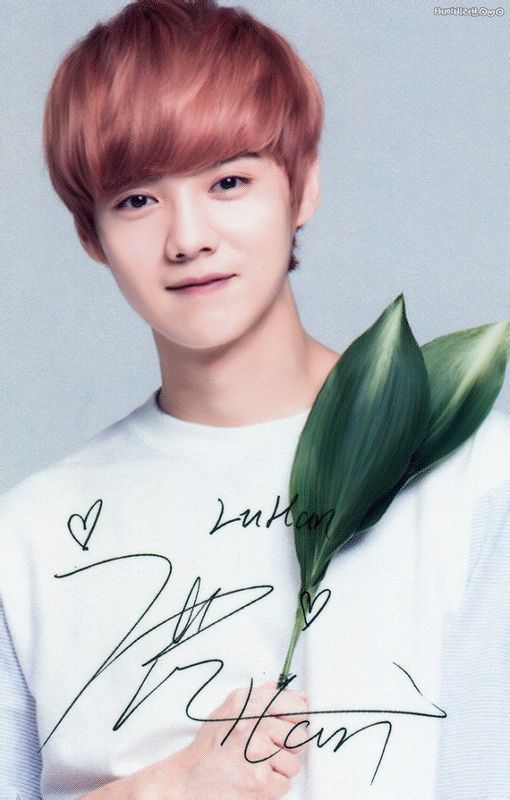 exo十二人嗨翻全场,exo十二人背后数字