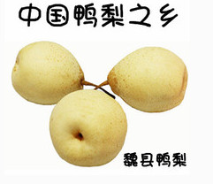 邯郸好吃好玩的地方排行榜,邯郸市好吃好玩的地方