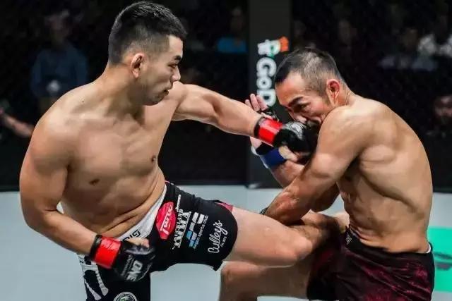 one冠军赛阮马丁被ko,one冠军赛阮马丁对金裁雄