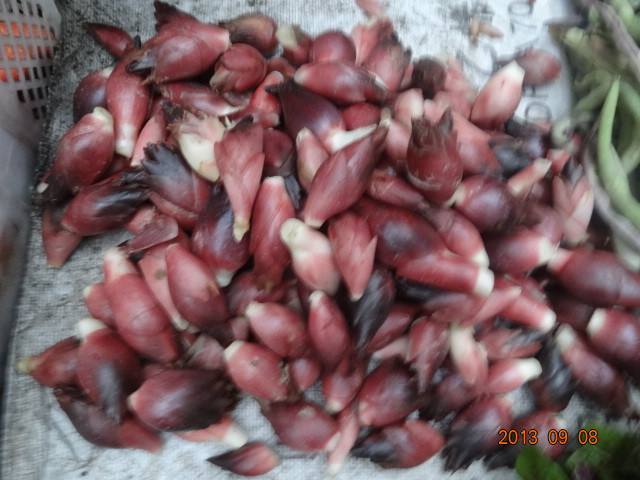 这种蔬菜堪比人参,这种蔬菜堪比菜中人参