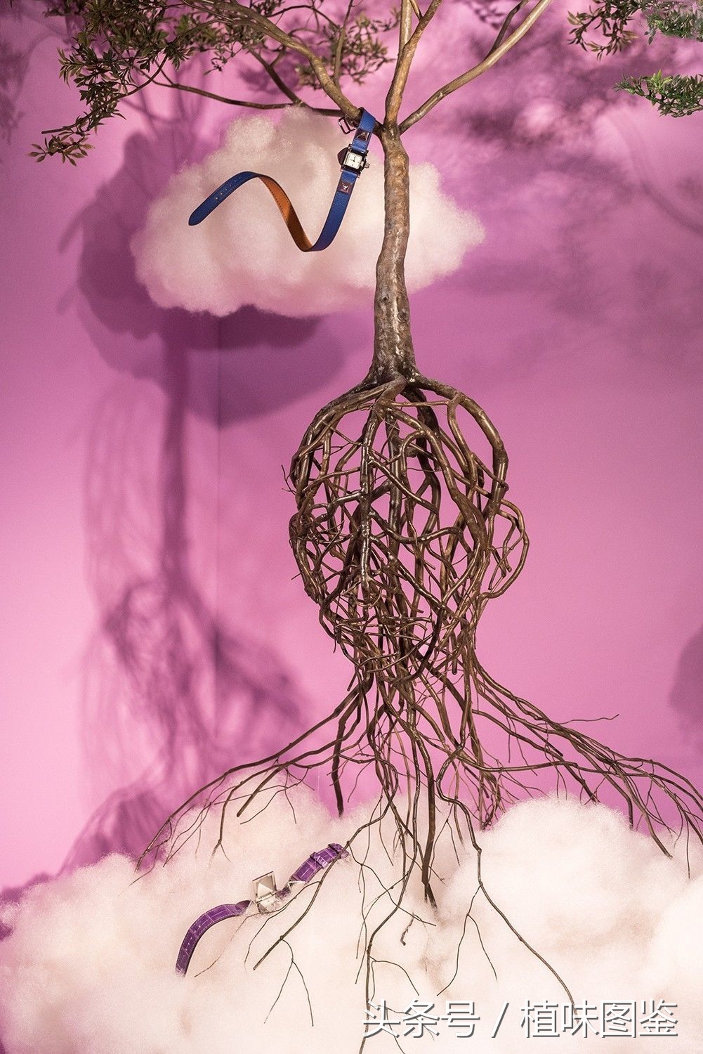 世界顶级奢侈品橱窗,不出家门一分钟尝遍世界咖啡