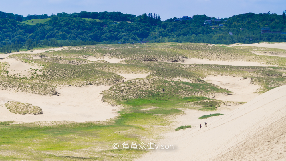 日本东京大阪最值得去的地方,日本大阪深度游攻略