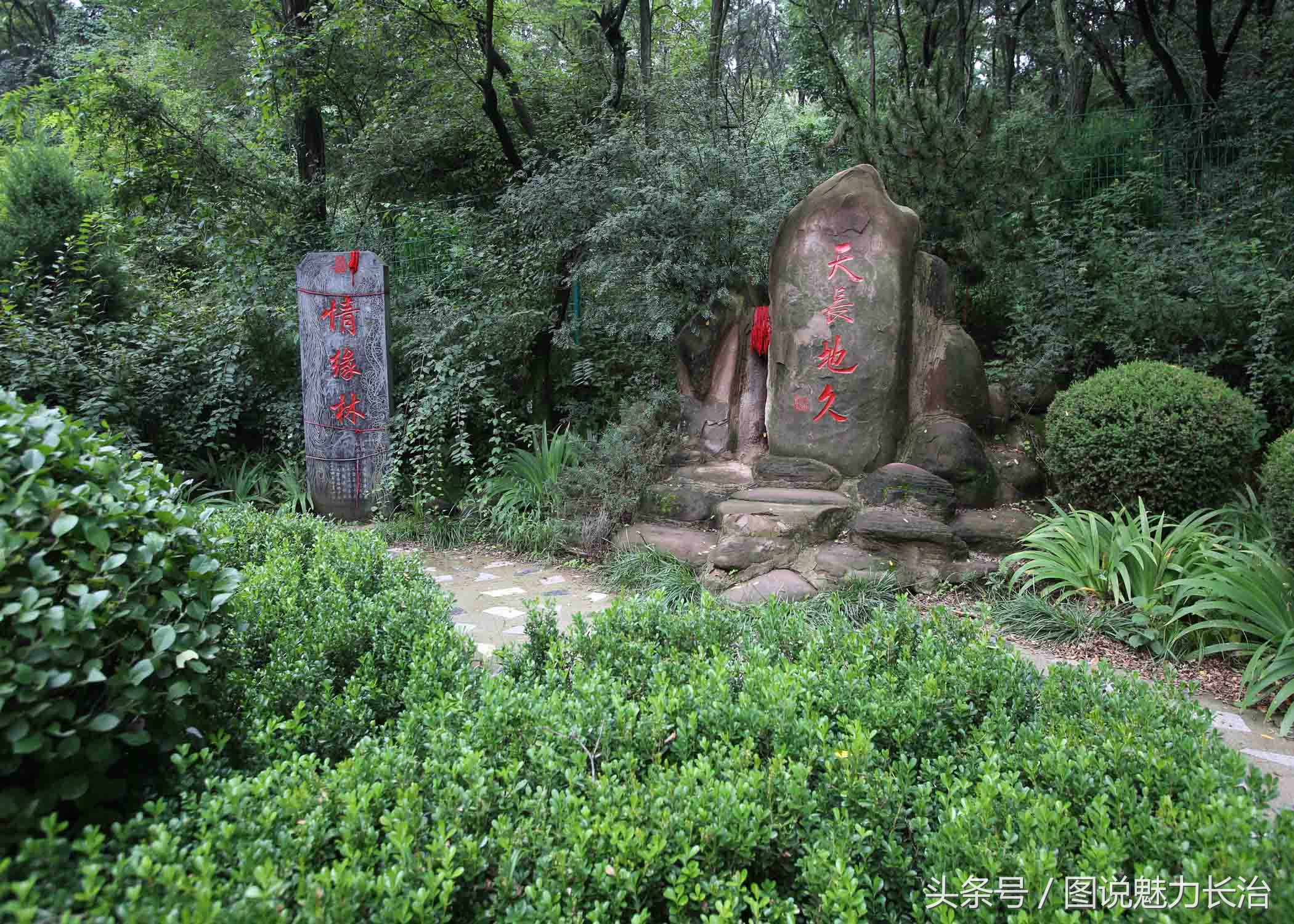 全国百城市足球峰会,2019全国城市足球开幕式