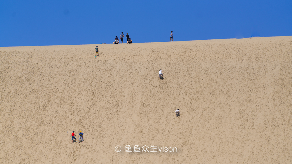 这里是日本,日本旅游柯南故乡