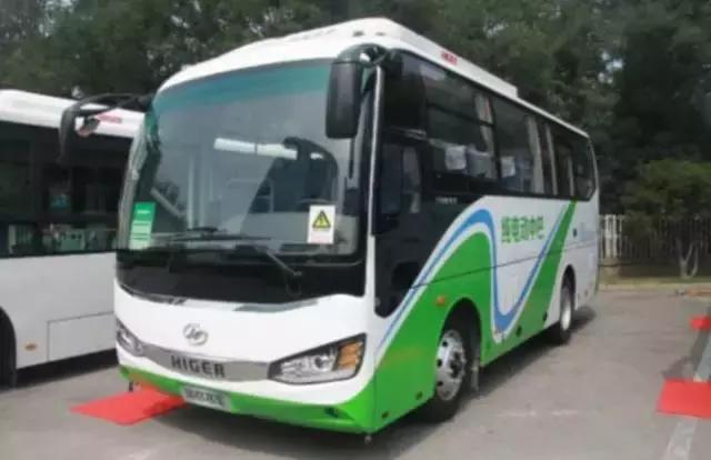 你的驾照能开哪几辆车,c1驾照开什么车会扣12分