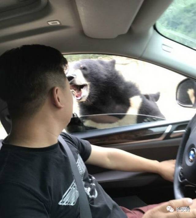 「三分钟法治新闻全知道」印尼民众围堵大马使馆,抗议马来西亚“颠倒红白”