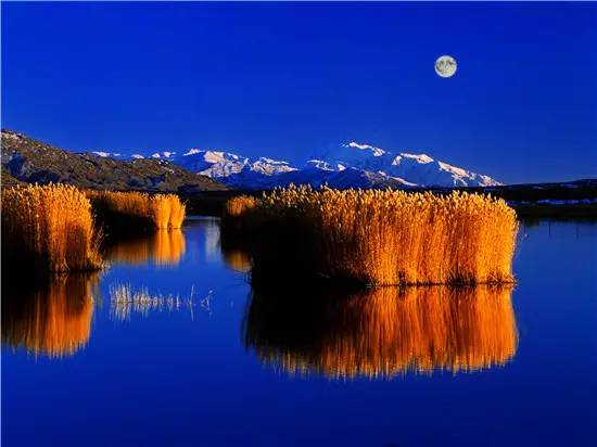 多彩阿勒泰哈巴河,多彩新疆阿勒泰禾木村