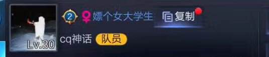 王者荣耀最合适的情侣名,王者荣耀比较骚气的情侣名