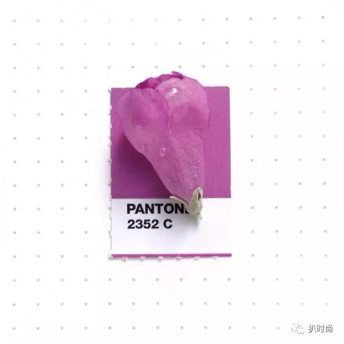 pantone潘通灰色号,pantone潘通色怎么查色值