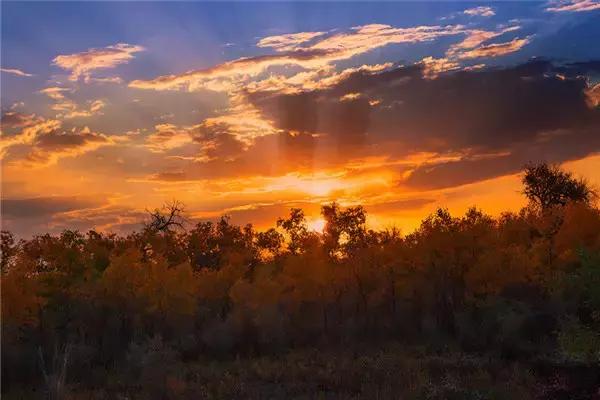 三千年的情缘,三千年的企盼只为这一季的金秋(附攻略)