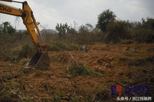 中药材的“明星”，小小白芨缘何受到市场热捧？｜投融界专访曾新