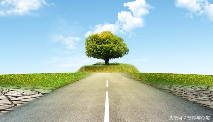 58岁医生每天“打坐”20分钟，成功延长癌症存活期！