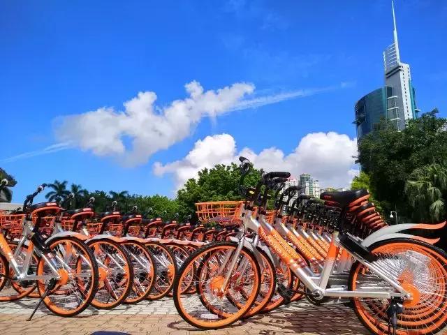 共享单车最终回归,共享单车堆成山报废