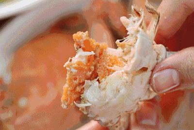 烟台哪里的海鲜便宜又新鲜,山东烟台一年四季的时令海鲜表