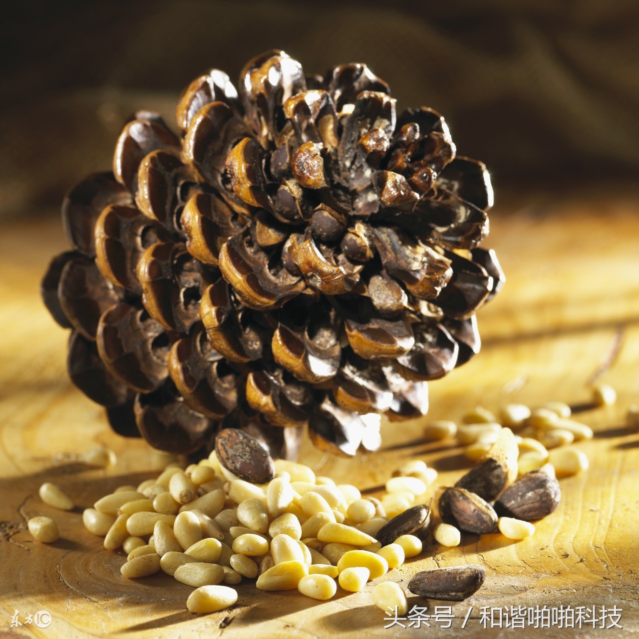 预防疾病的健康长寿食物,4种公认的长寿食物你知道几个