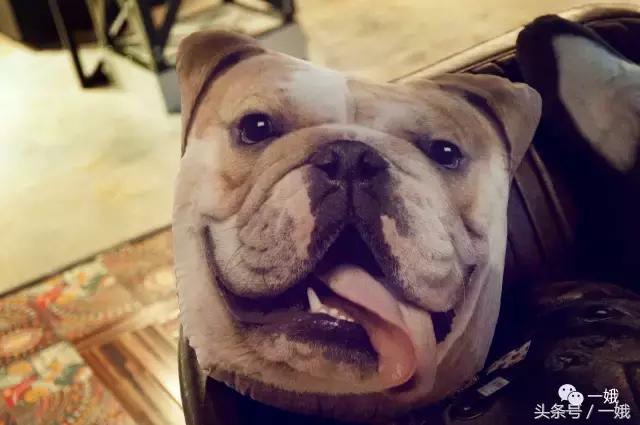 来只打算买潮服，结果种草了这些小玩意