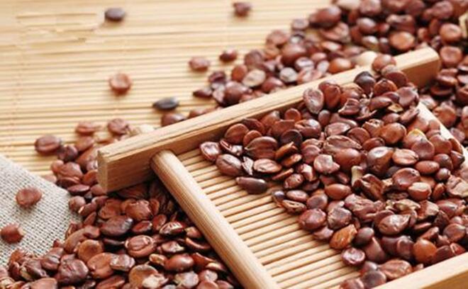 都会美家｜喝茶还能治失眠，一般人我不告诉他！