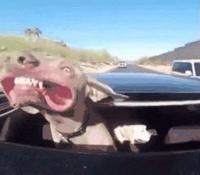 留学生回国可以免税买什么车,留学生回国免税车可以便宜多少钱