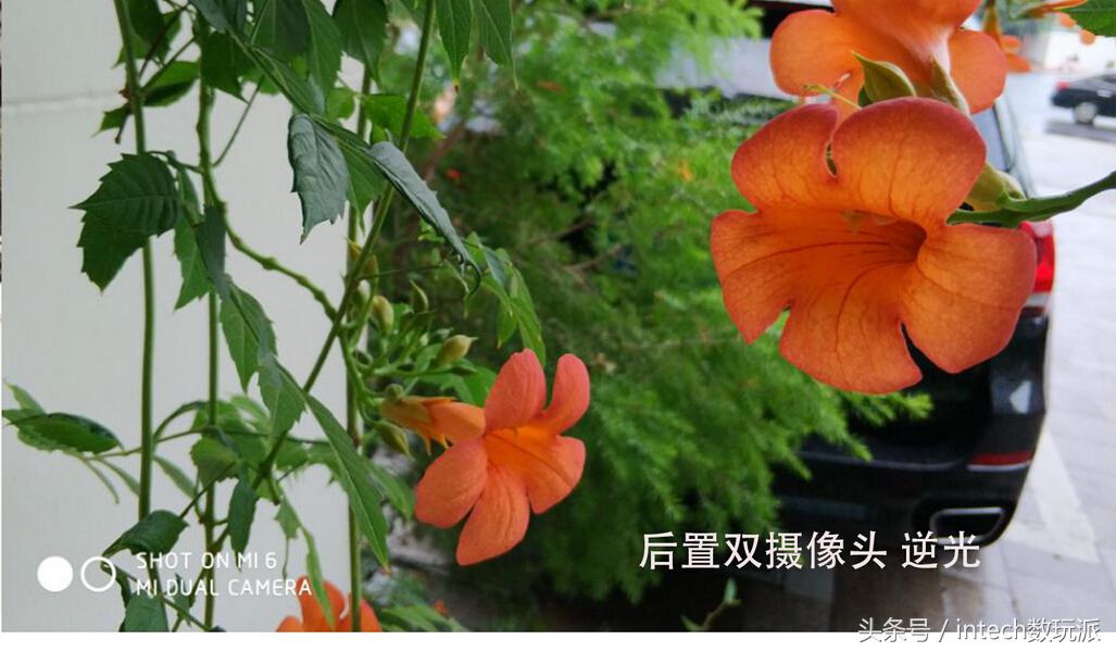 被低估的性价比高手机,被低估的千元机性价比