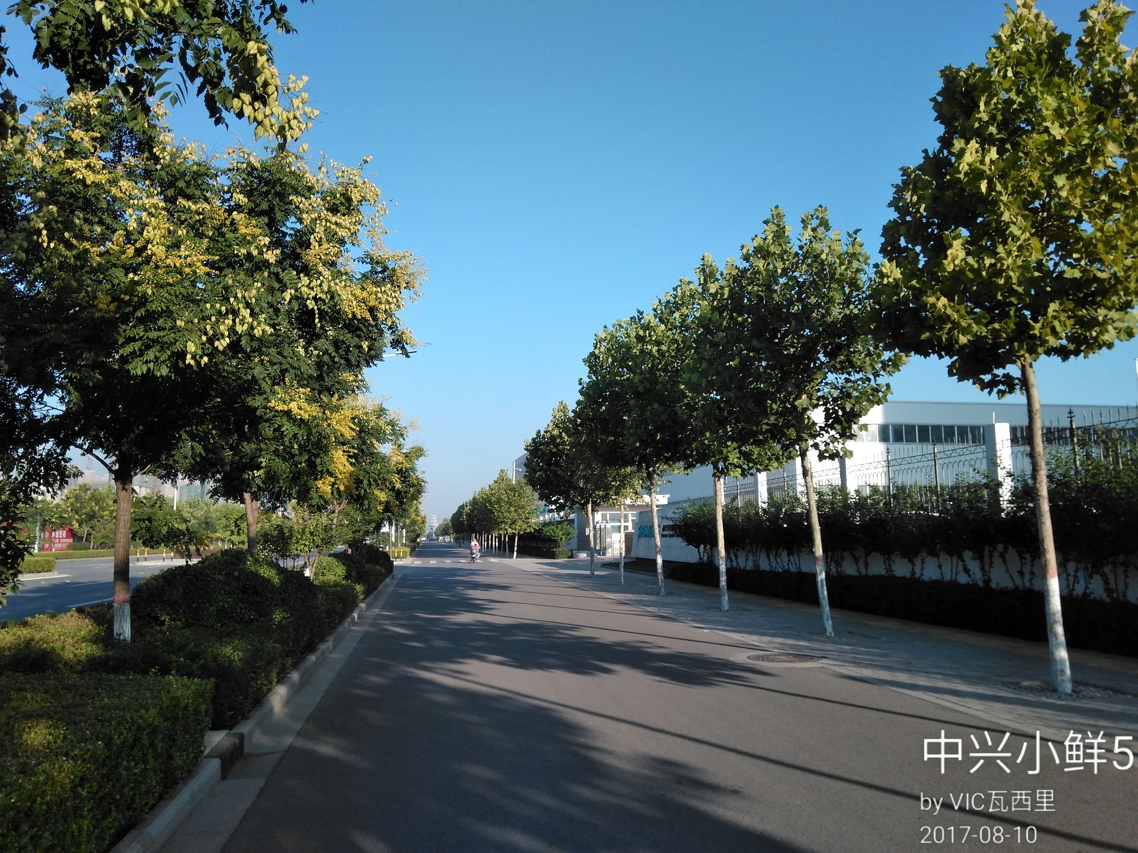 中兴小鲜5支持全网4g,手机除了处理器还有什么