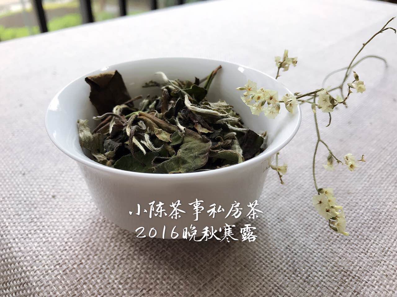 白茶红茶绿茶普洱茶哪种最好,绿茶白茶铁观音红茶哪种茶好