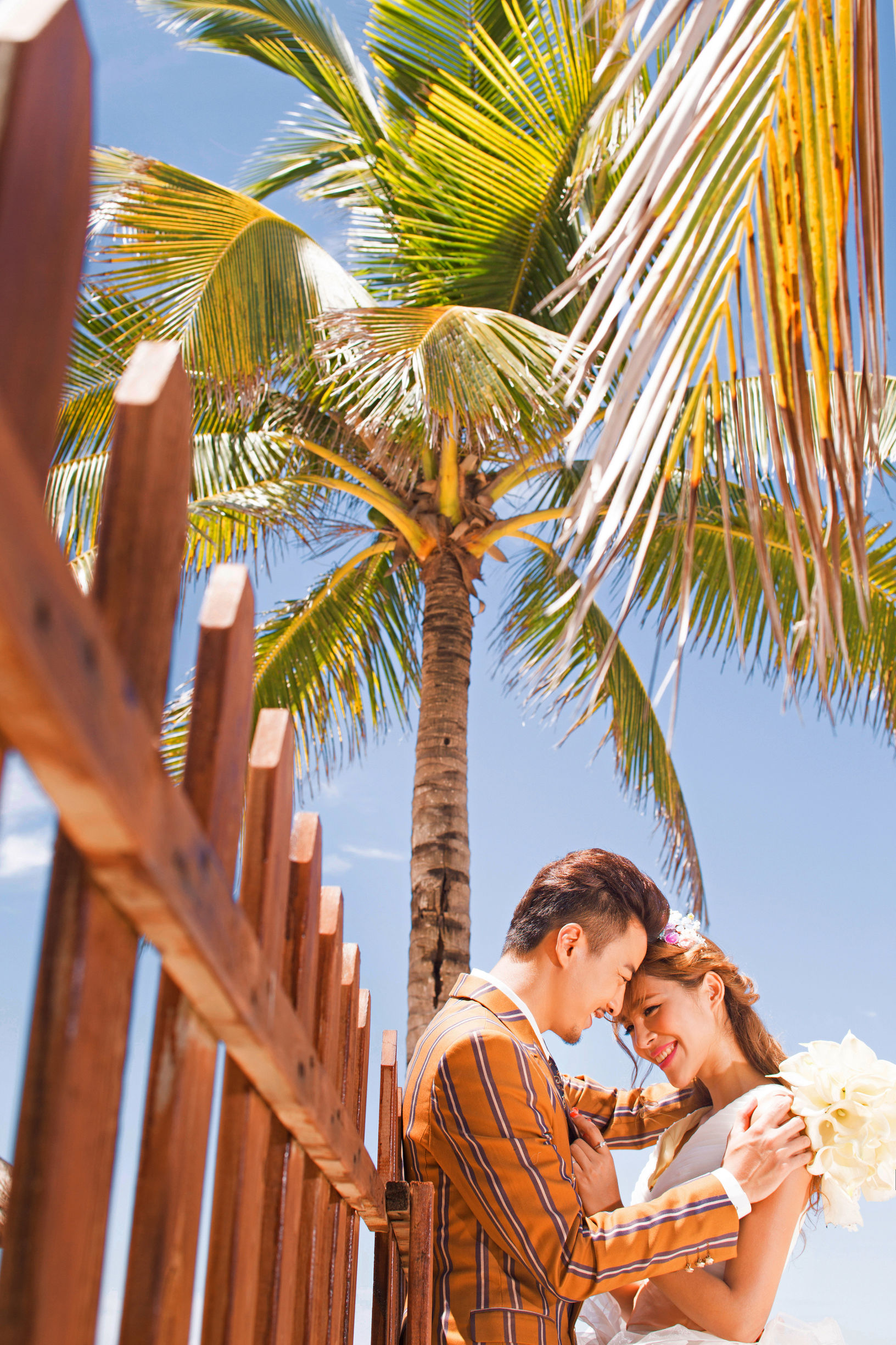 来一场说走就走的旅行吧,茉莉花开等你来