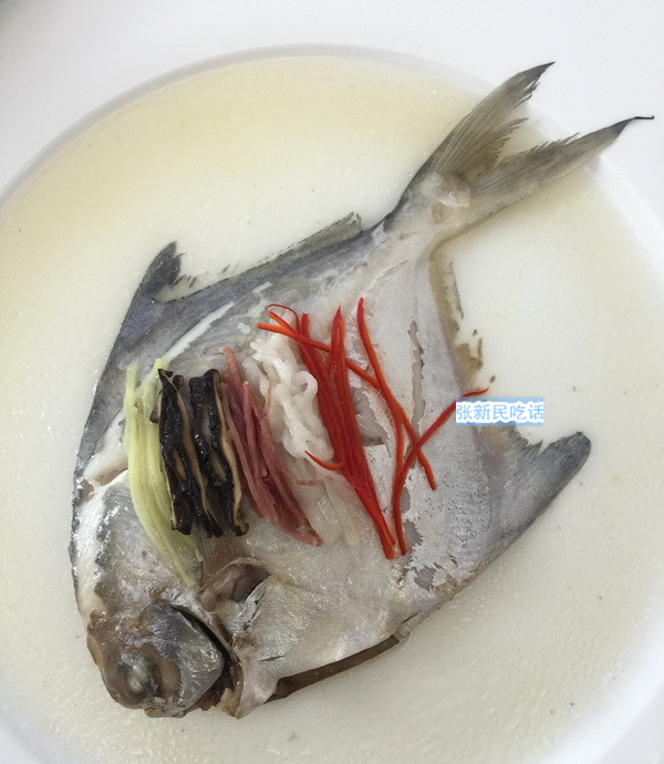 唐朝人为什么要将鲳鱼称为“狗瞌睡鱼”？六种鲳鱼你认识几种？