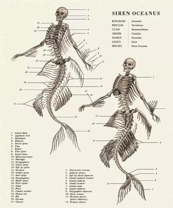 这不科学！游戏怪兽解剖指南
