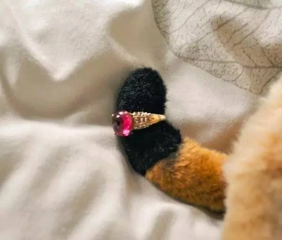 你听说过“男子汉料理”吗？