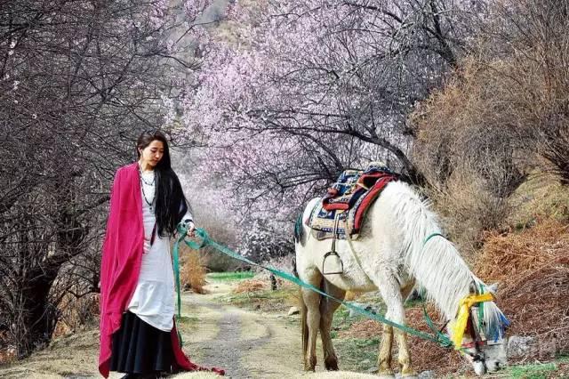 西藏林芝行一路风景如画,林芝最美小镇