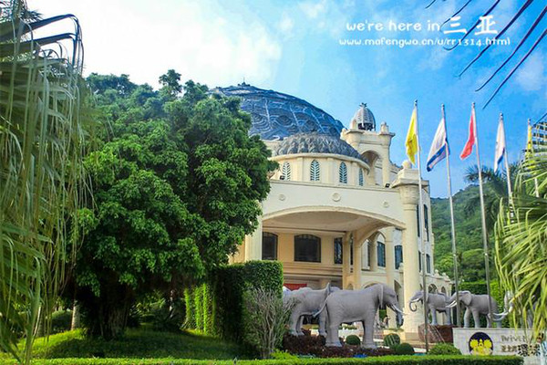 三亚五天四晚旅行团爱上海岛,三亚3天两晚够不够